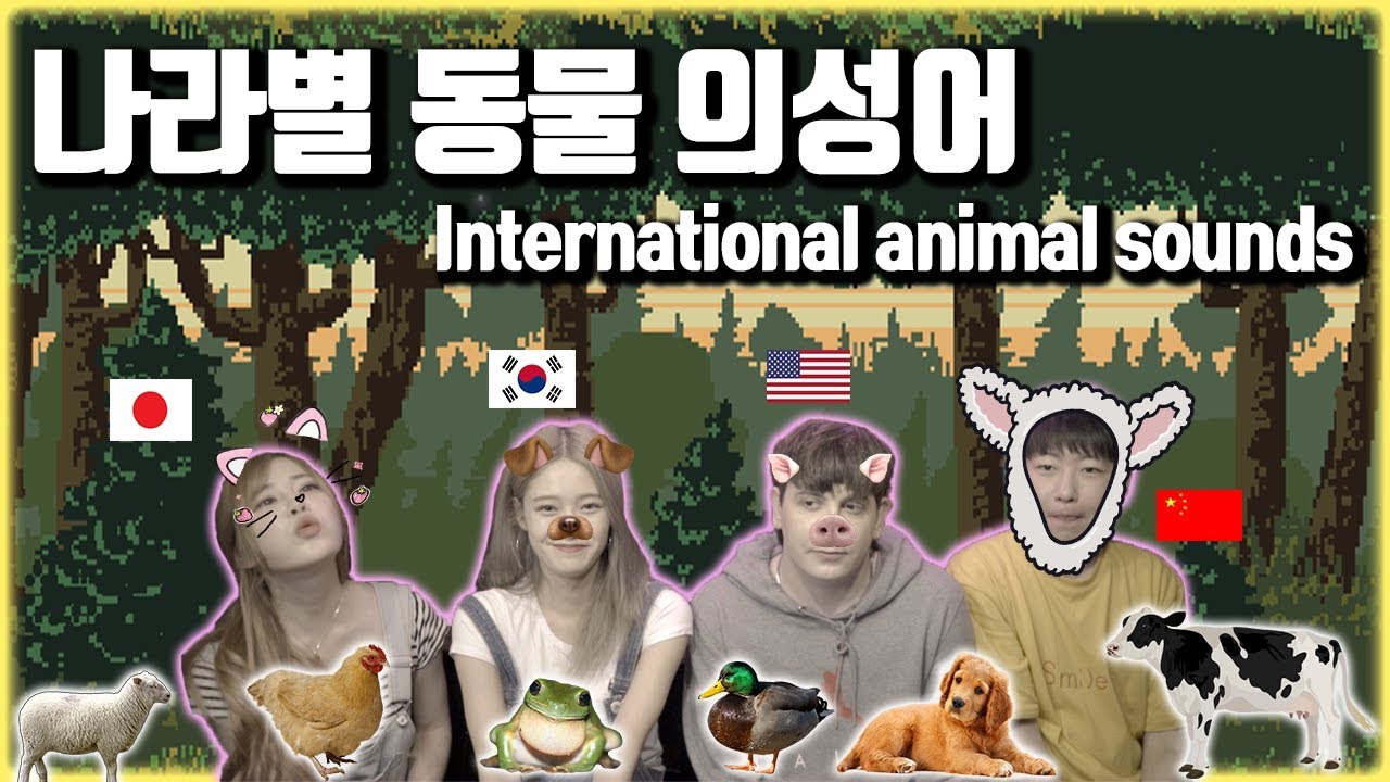 영어 한국어 일본어 중국어 나라별 동물 의성어 차이 English Korean Chinese & Japanese Animal Sound differences