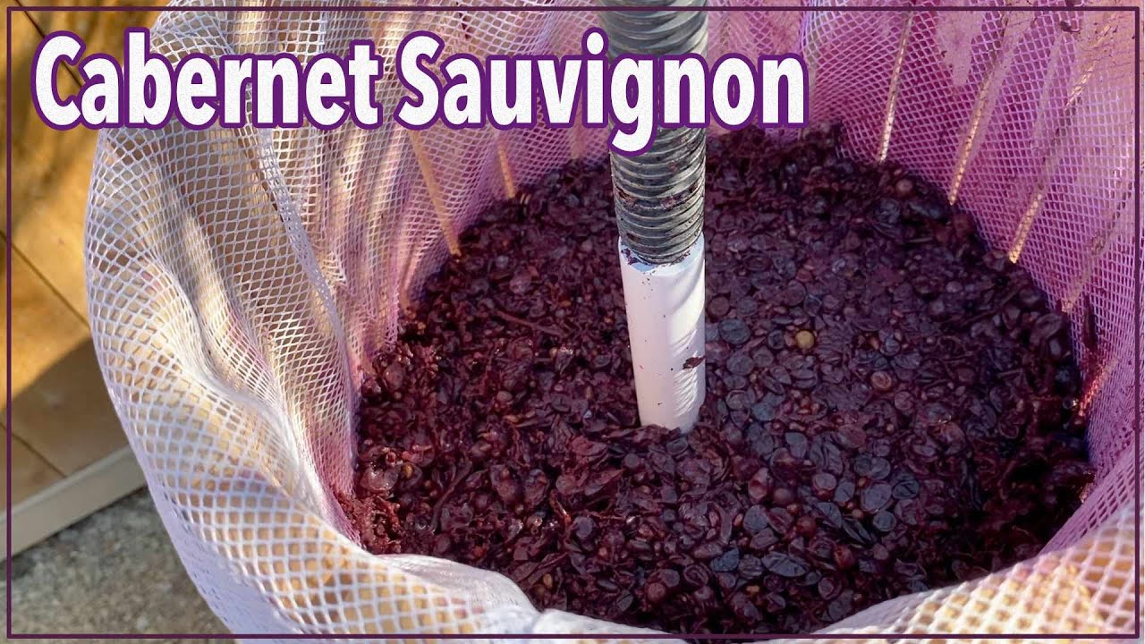 🍷Красное вино — как я сделал вино дома из винограда 🍇 👍