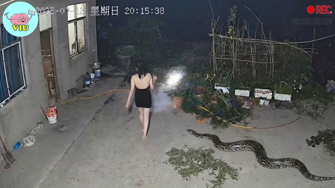 SECURITY CAMERA Captures Something No One Should Ever See 😱 | 100 Unusual Moments Caught on CCTV