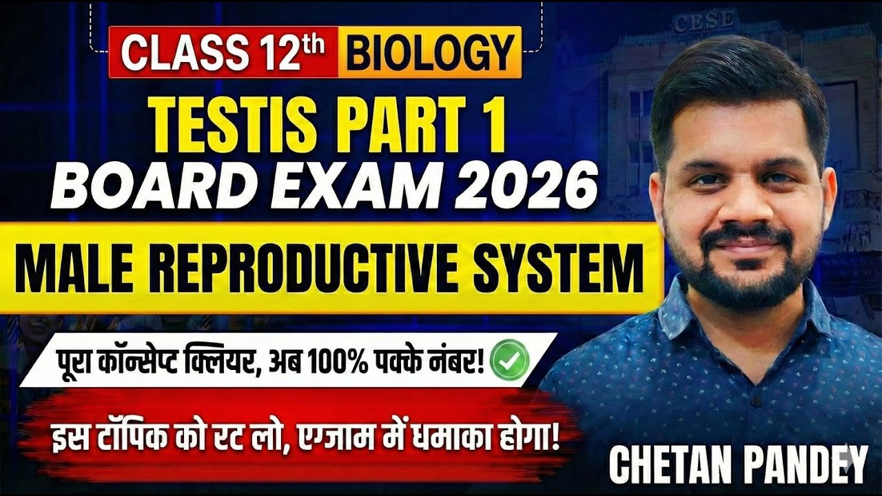 Male Reproductive System | Testis (Part-1) | Class 12 Biology