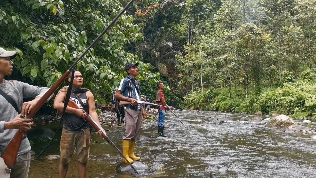 MENUNGGU BABI HUTAN MENYEBERANGI SUNGAI MENGGUNAKAN SENAPAN TRADISIONAL || Buruan Cigata..‼️