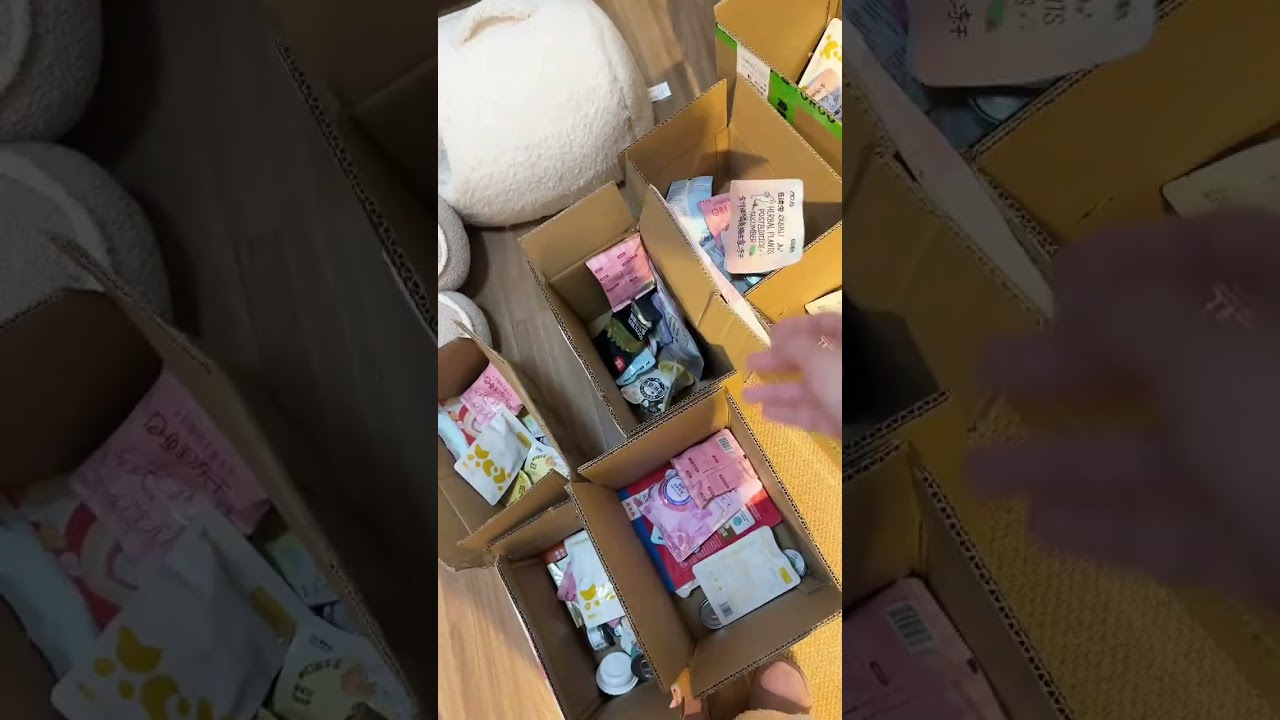 February Stickers are here (4-minute electronic pickled mustard greens version)#vlog 100 B