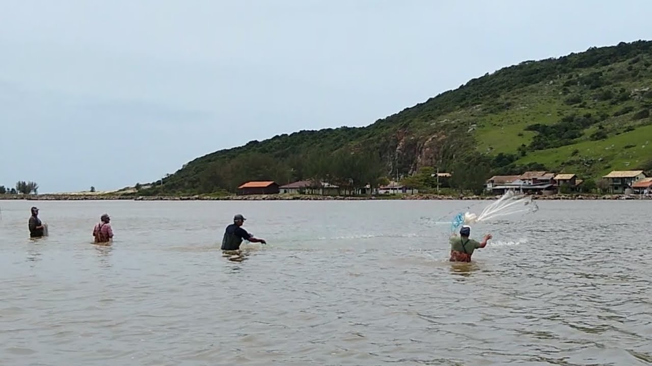 Laguna, SC, desmalhe de peixes, pescarias de tarrafas e bateras, acompanhadas dos botos.