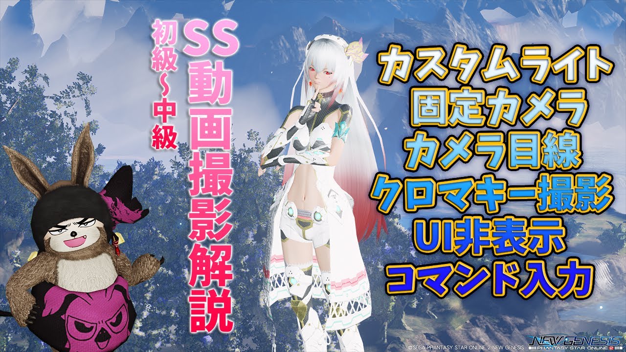 (PSO2NGS)これができればクオリティが高い動画・SS撮影ができる‼解説