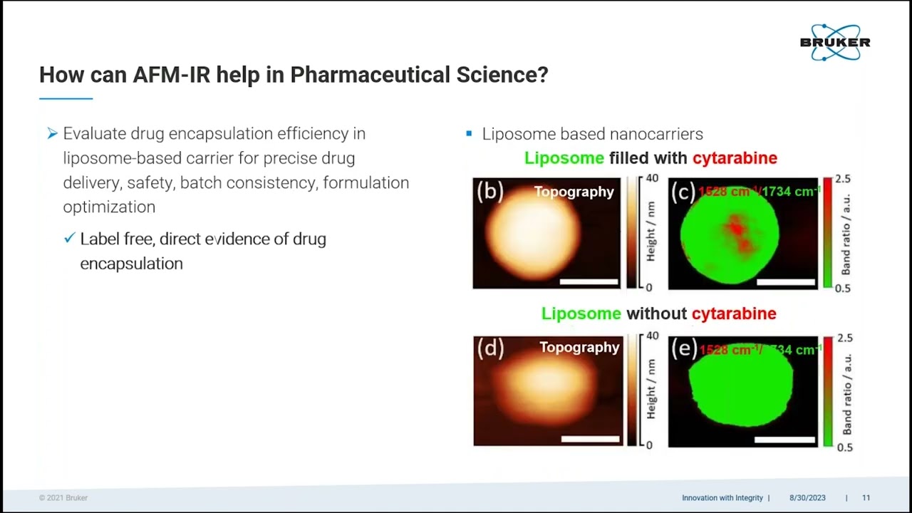 Introduction to Photothermal AFM-IR | Bruker Webinar