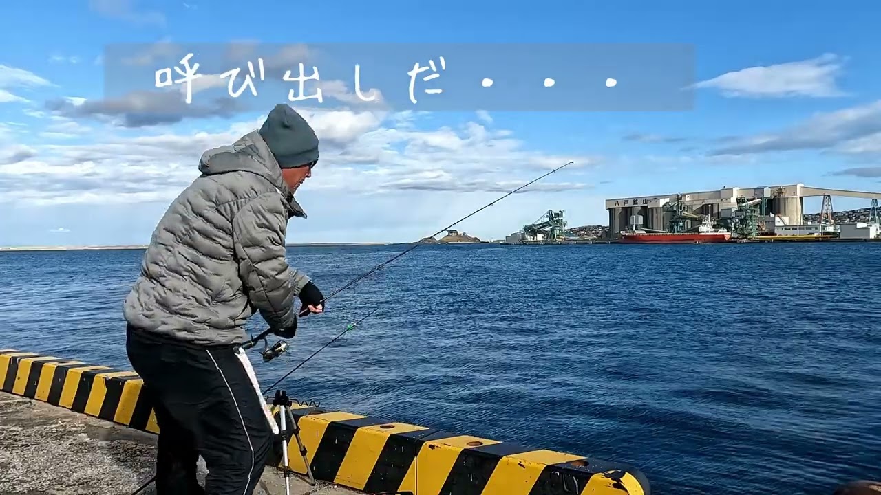 【 2025.12 青森県八戸港釣り】　釣り初心者が、冬の堤防で五目釣りしてきました。