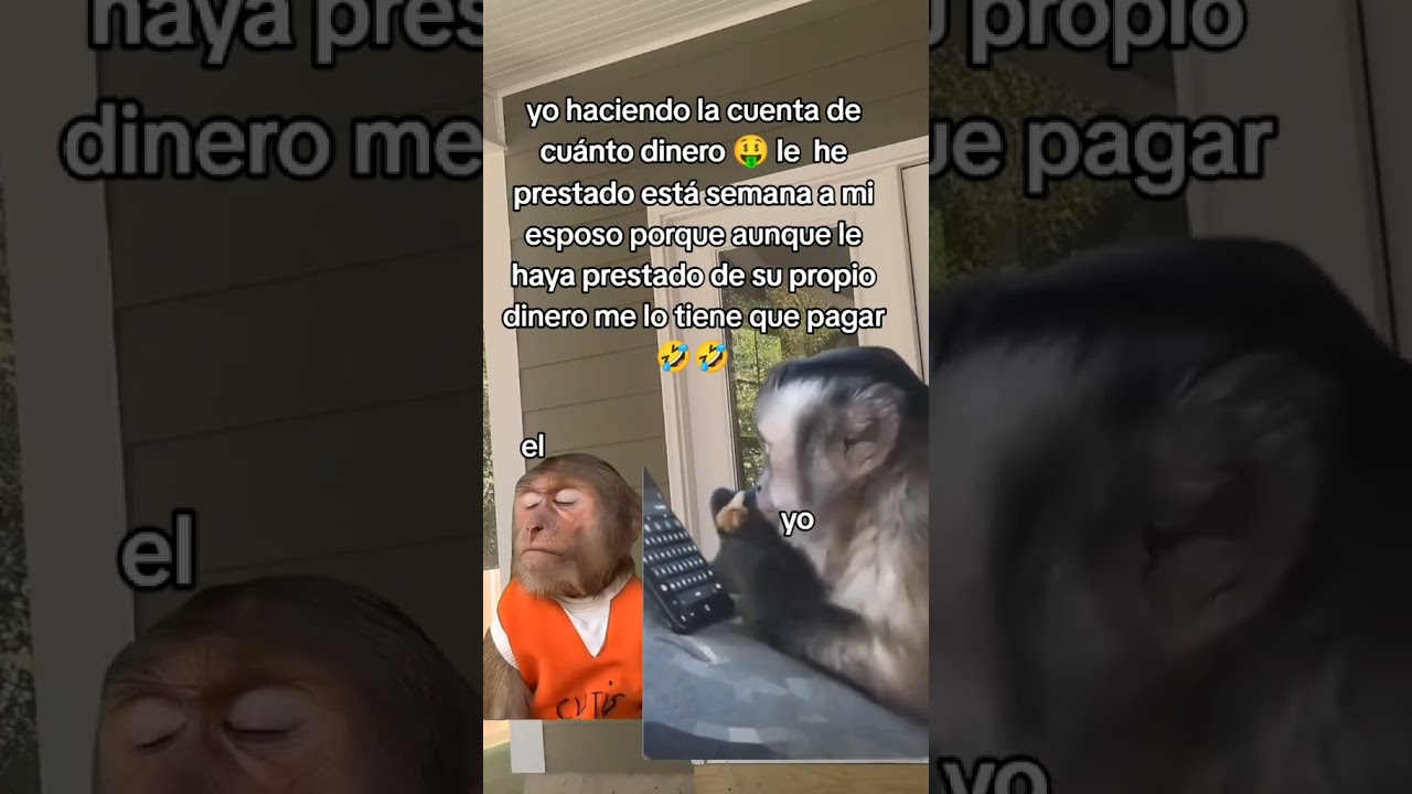 jajajja #viralshort #comedy #humor #vidadecasada #mama #esposa
