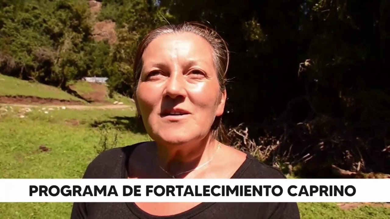 EL INFORMATIVO - 12 FEBRERO 2026