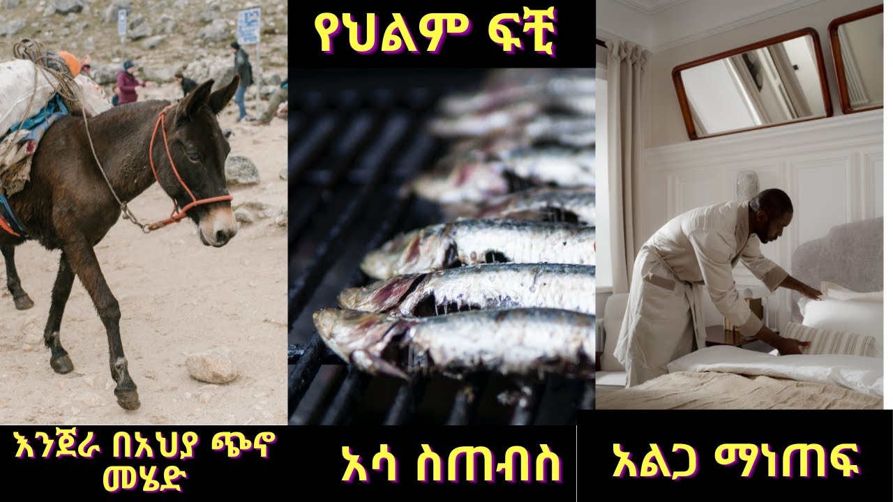 እንጀራ በአህያ ጭኖ መሄድ / አሳ ስጠብስ / አልጋ ማነጠፍ Part Six