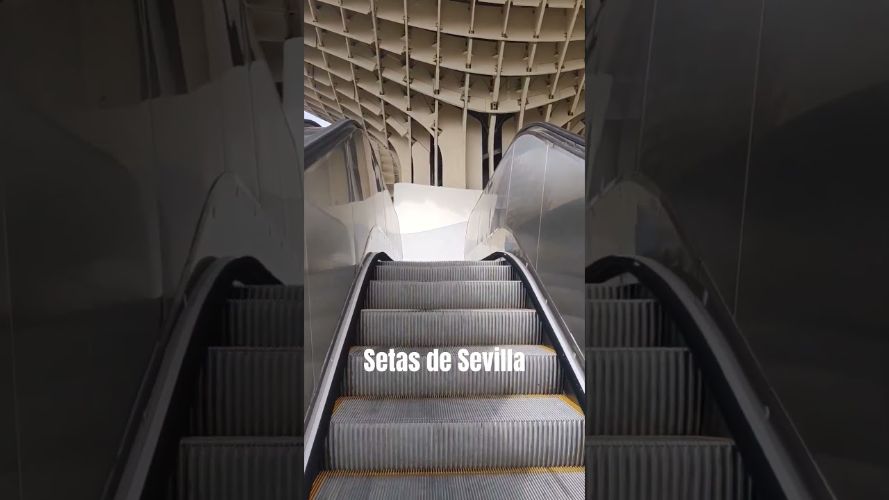 SETAS DE SEVILLA #shorts #short #shortsvideo #shortvideo #video #viral #youtubeshorts #travel #shots
