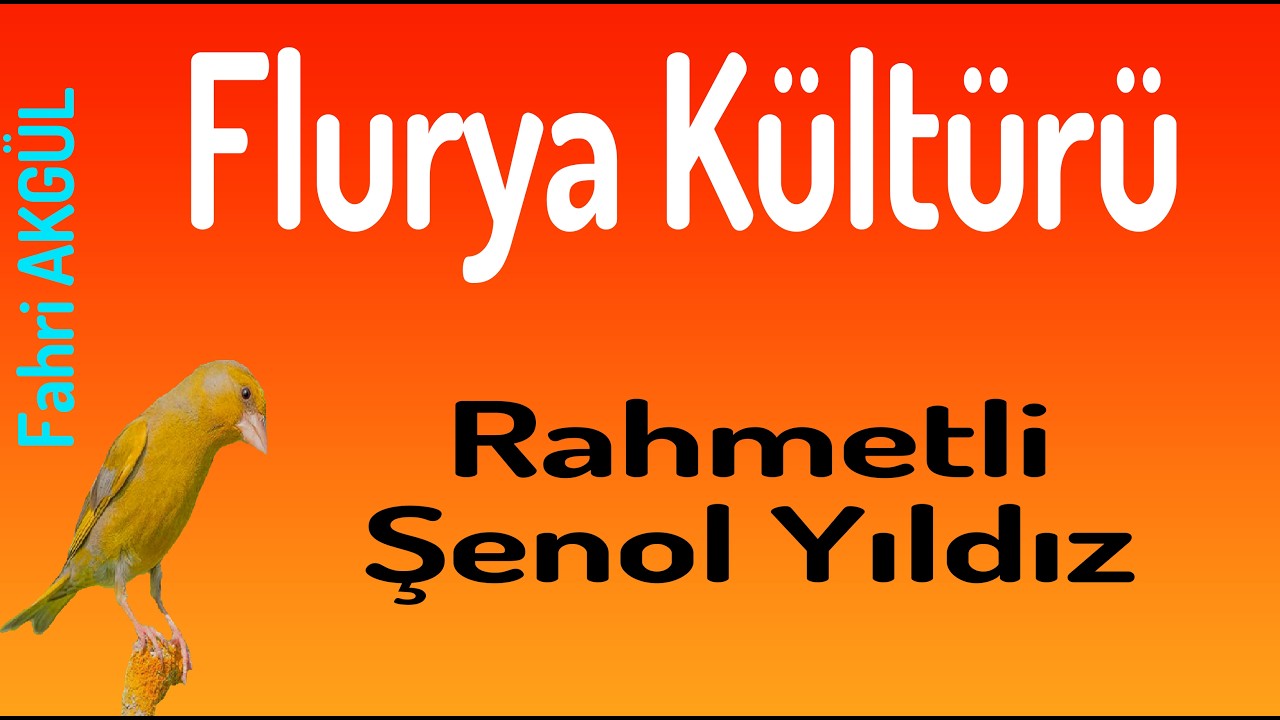 Flurya Kültürü 259 - Şenol Yıldız (Ölüm tarihi 02-03-2026)