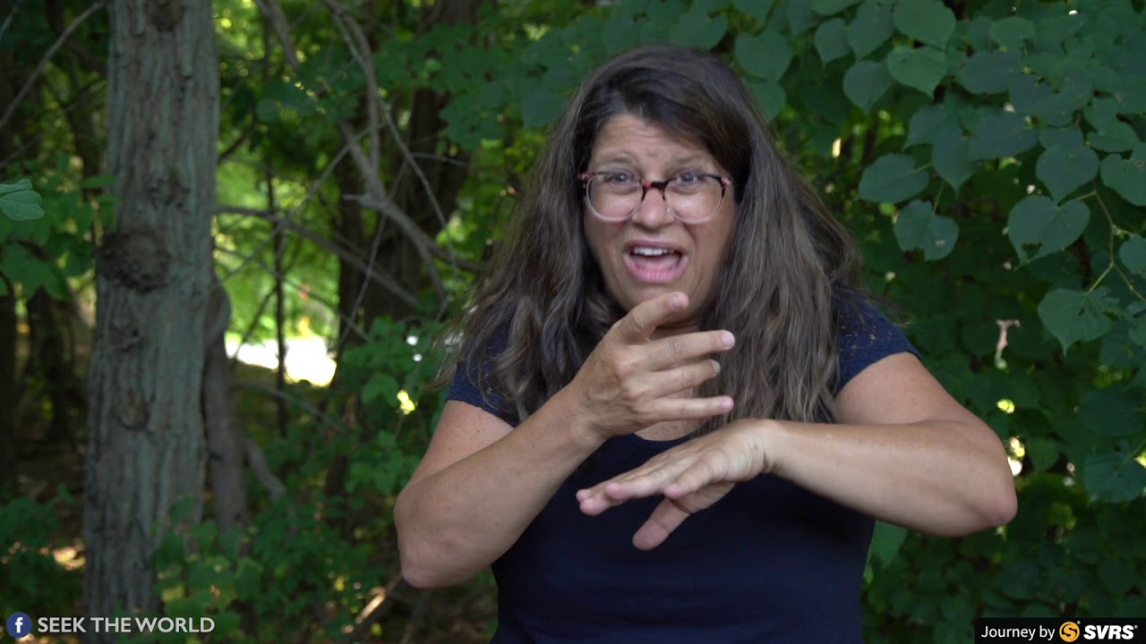 Deaf School on an Island!!