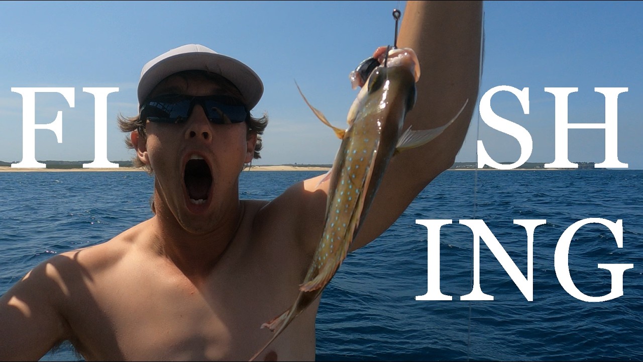 FISHING AT SEA - VSEAFUN