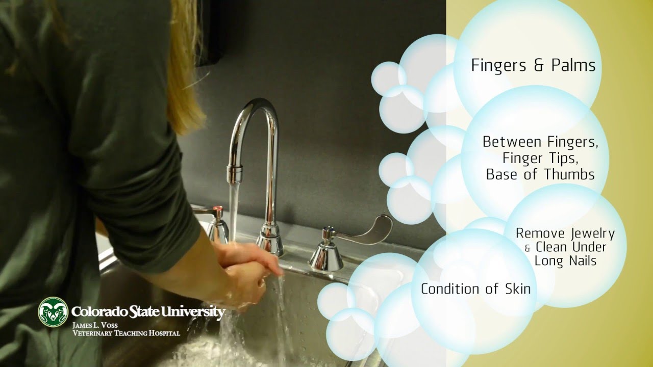 Clean Hands Save Lives: Protect Your Patients, Protect Yourself