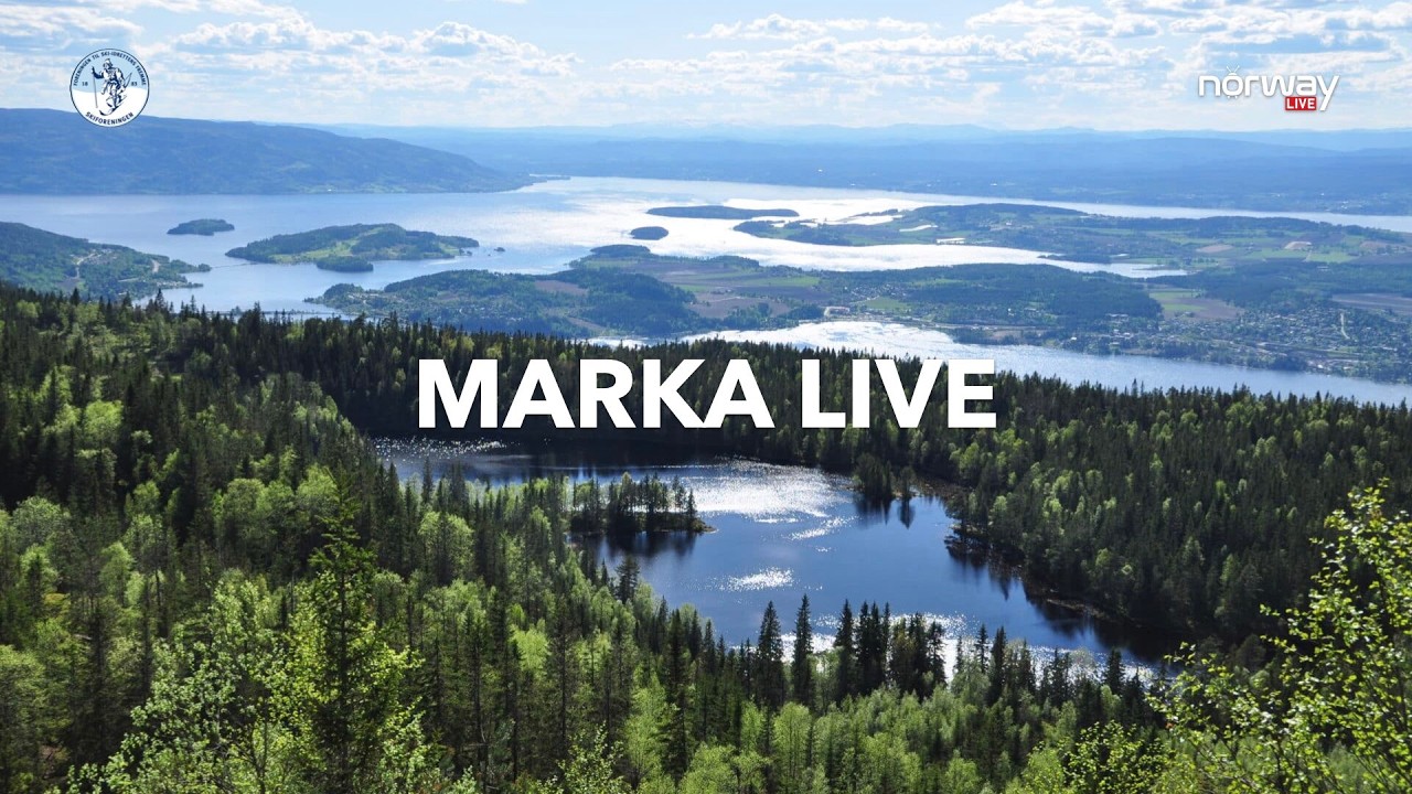 Marka LIVE