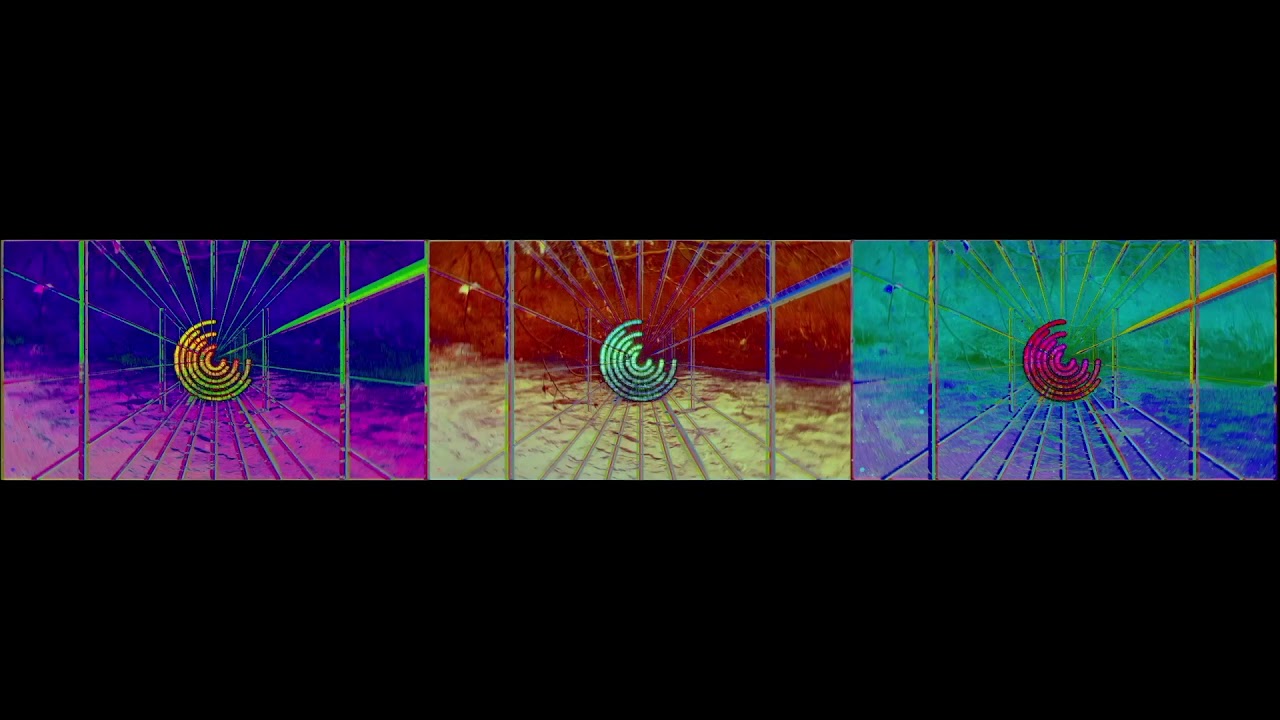 Cong&eacute; - Blooming