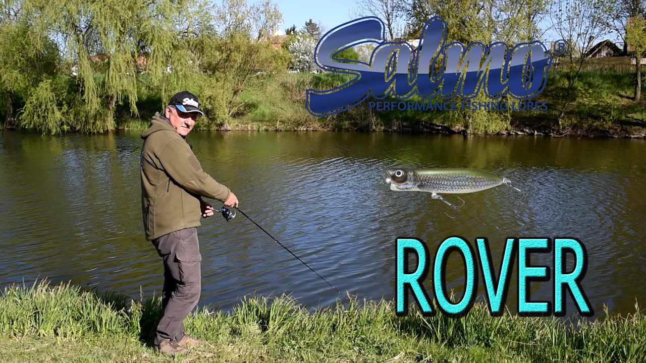 Salmo Rover