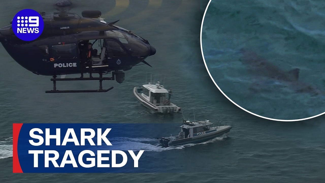 Tributes grow for Perth man killed in great white shark attack | 9 News Australia