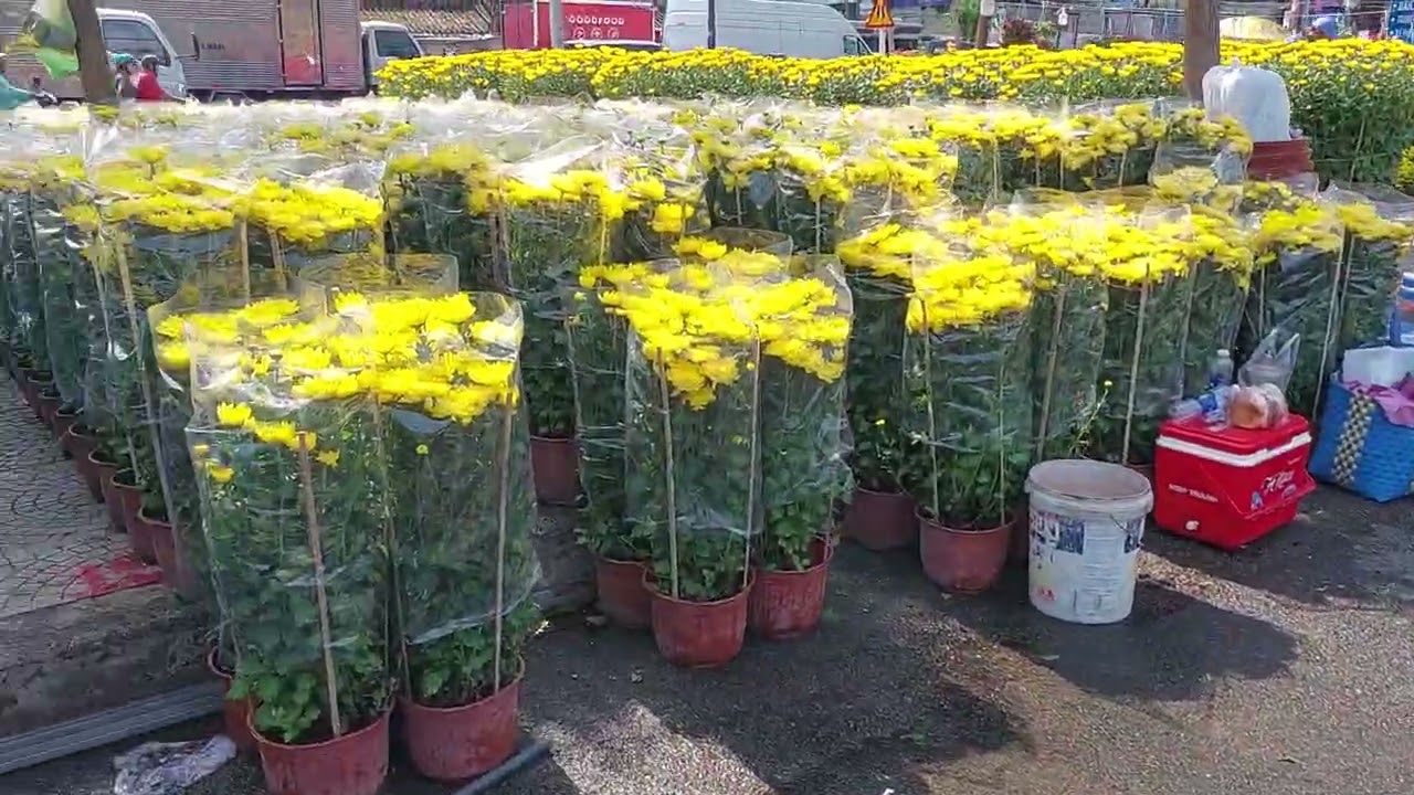 Floralies 2 GIA DINH PARK #saigon 