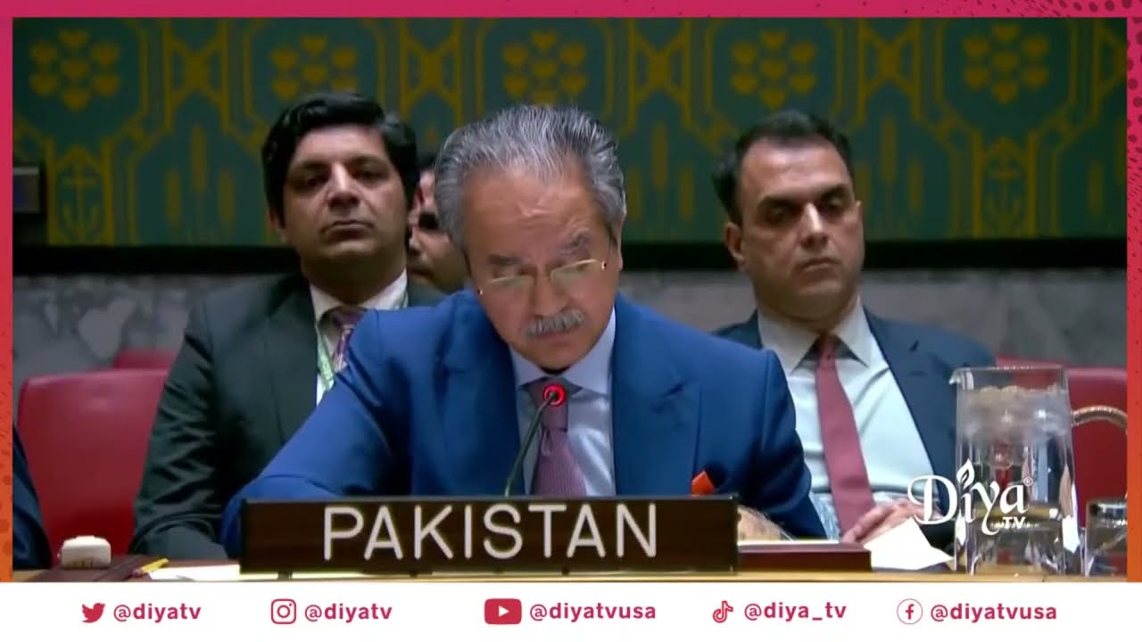RAW: India, Pakistan & Afghanistan trade barbs at UN Security Council