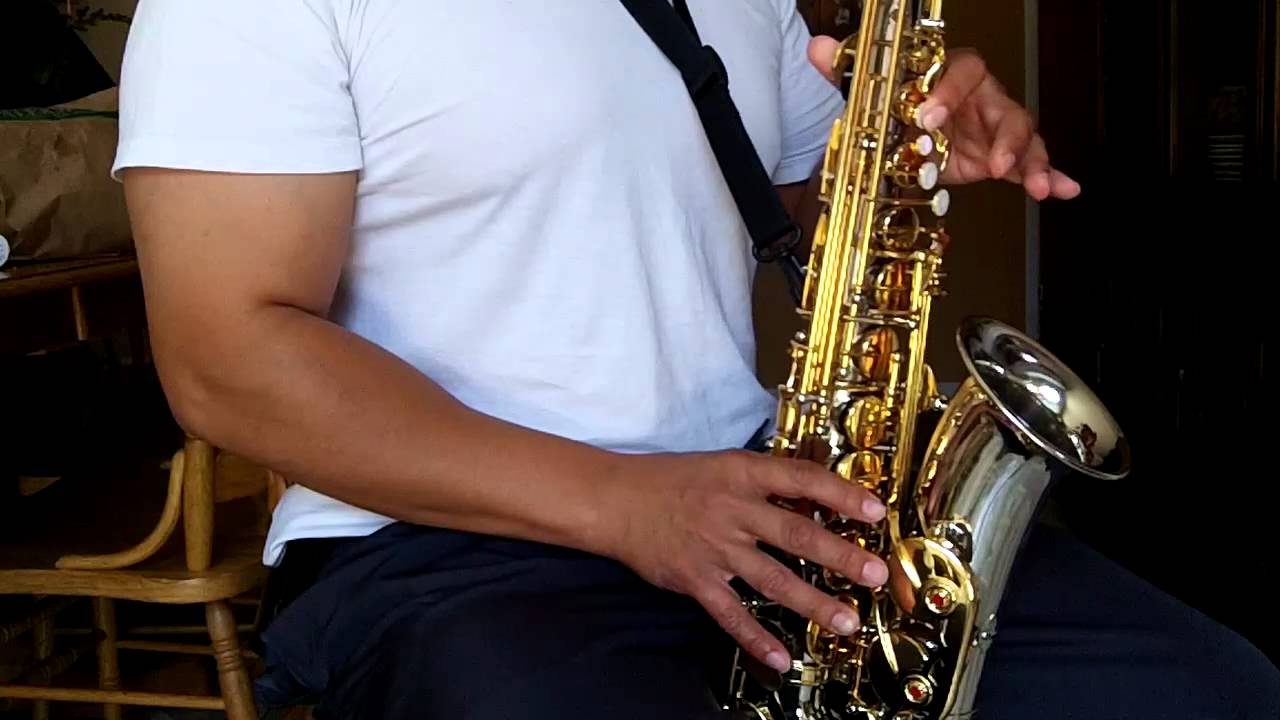 la gallinita fito olivares tutorial