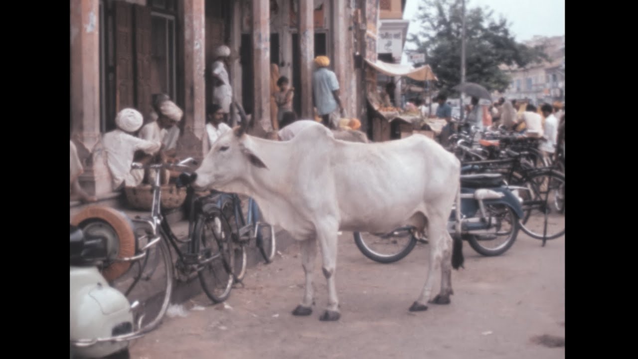Jaipur 1976 archive footage