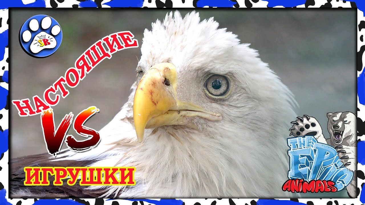 Игрушки EPIC ANIMALS против НАСТОЯЩИХ ЖИВОТНЫХ 🦅 🐲🦁