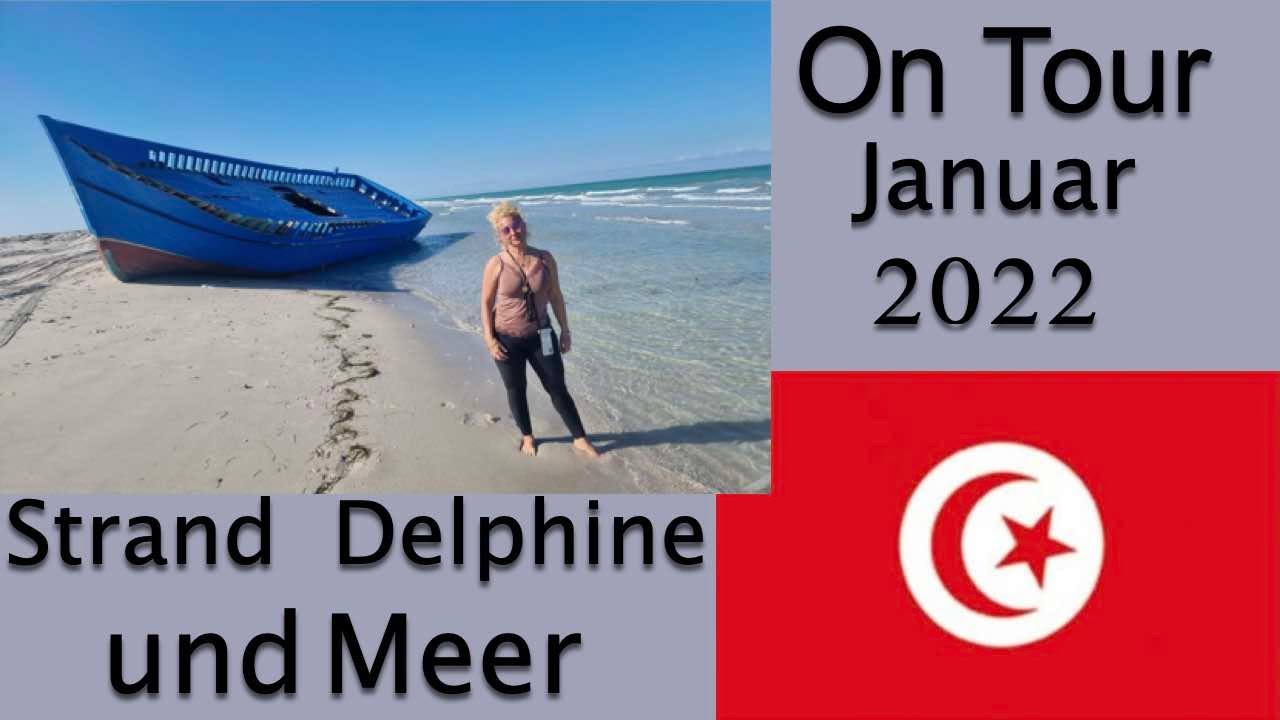 072 Strand Delphine und Meer in der Blauen Lagune auf Djerba