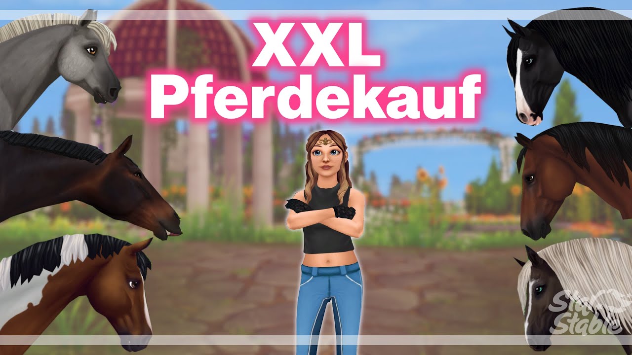 Ich kaufe euch jede Menge  Pferdis 🐴/ XXL Pferdekauf / SSO / YouLine