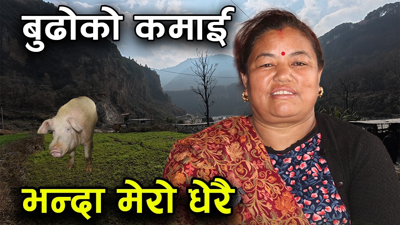 बुढाले बिदेशमा भन्दा नेपालमा मगर्नी कान्छीले धेरै कमाउँछीन् ! अब बुढाले घरमै बोलाउँछु ||kiranpaudel