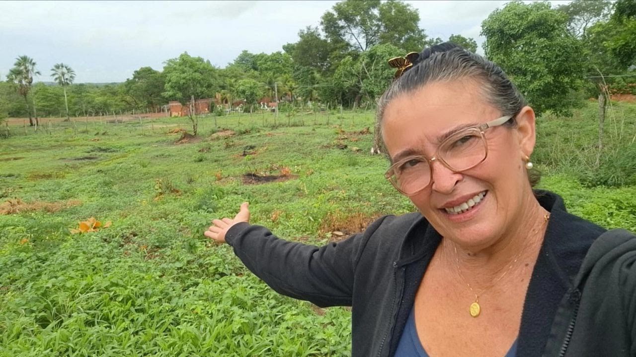 VOU PLANTAR MORINGA! Conheça TODOS os BENEFÍCIOS e o SEGREDO dos criadores mais experientes