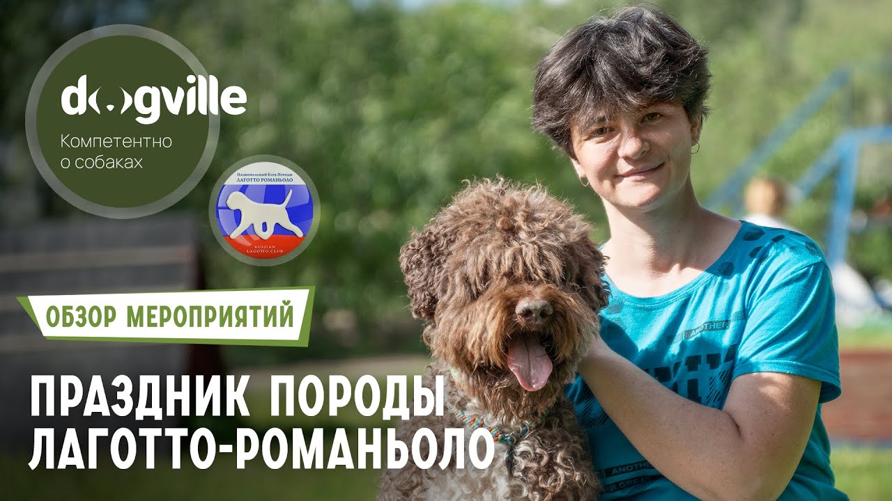 Праздник породы Лаготто-романьоло – Испытания по поиску трюфеля