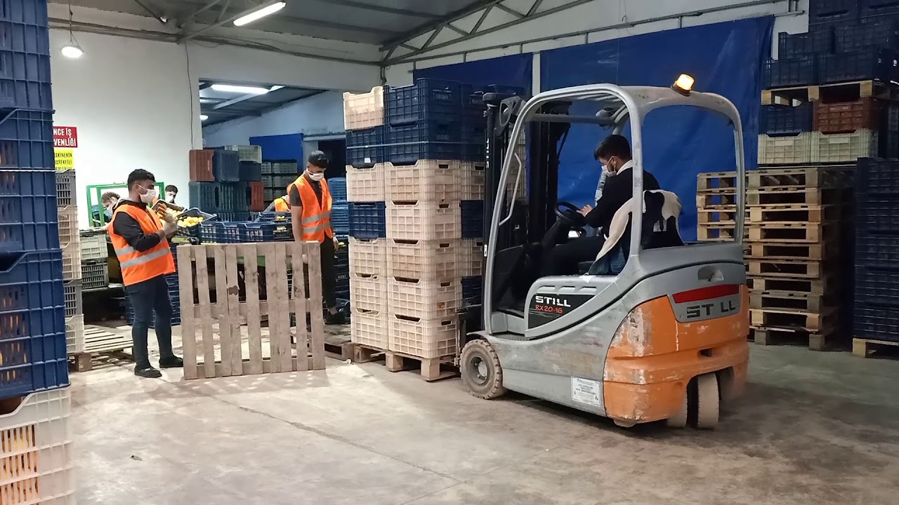 MEYVE VE SEBZE İHRACATINDA BAKİ TARIM