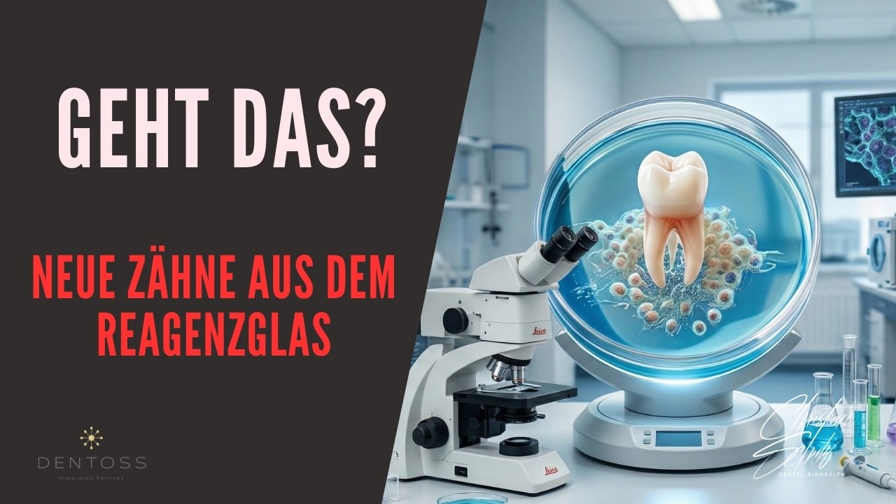 Neue Zähne aus dem Reagenzglas - Science Fiction oder bald Realität?