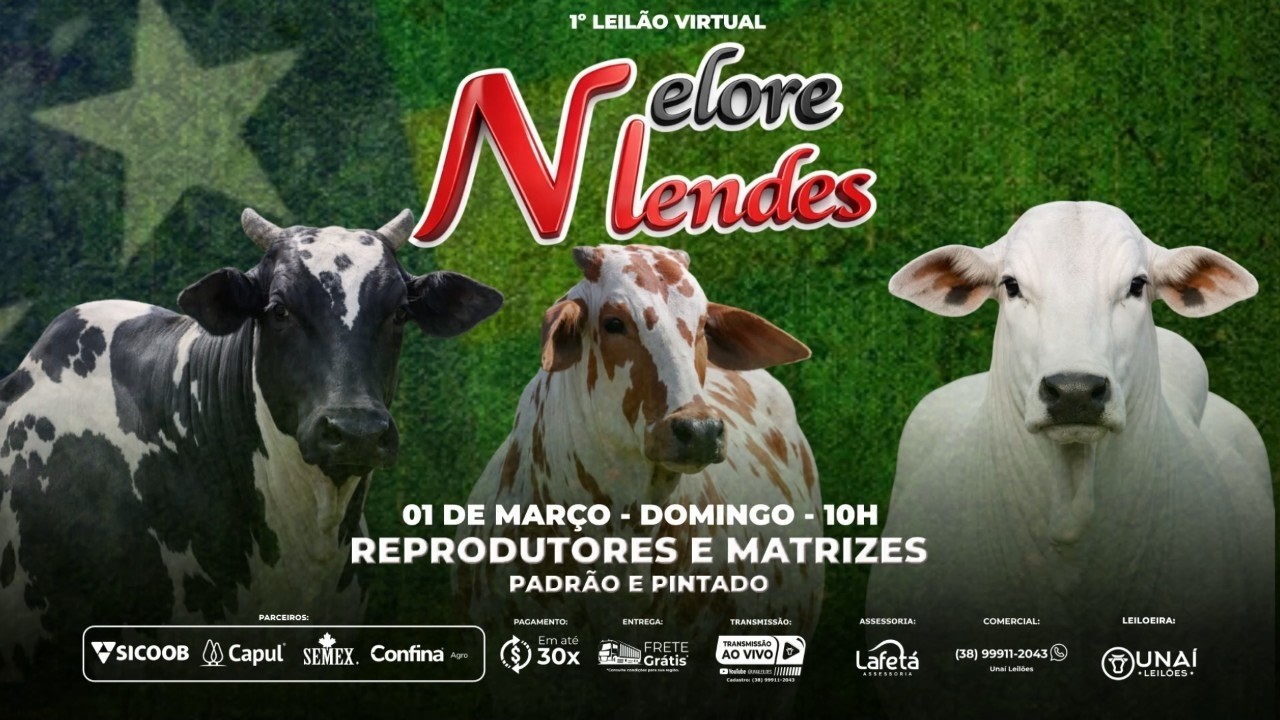 1&ordm; LEIL&Atilde;O VIRTUAL NELORE MENDES - UNA&Iacute; LEIL&Otilde;ES -01-03-2026
