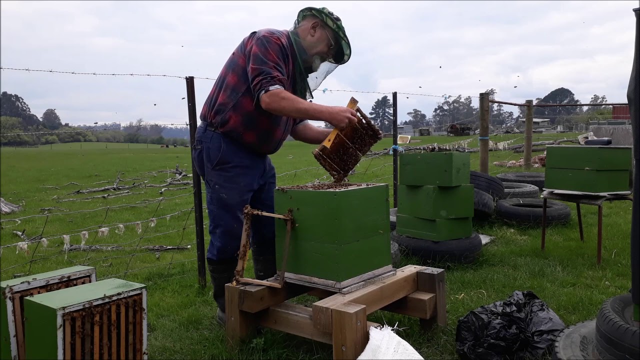 Warre Inspection 12/10/18