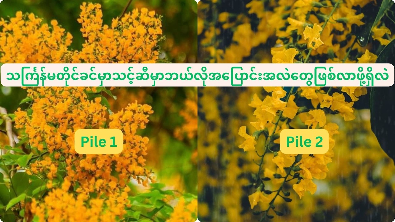 သင်္ကြန်မတိုင်ခင် သင့်အနေနဲ့ကြုံလာနိုင်တဲ့ ဆောင်ရန်၊ရှောင်ရန်များ