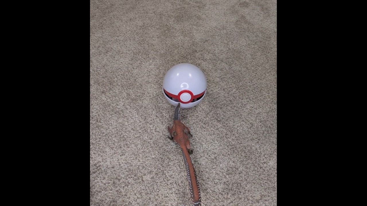 What's inside the Premier Ball? #pokemon #opening #tcg