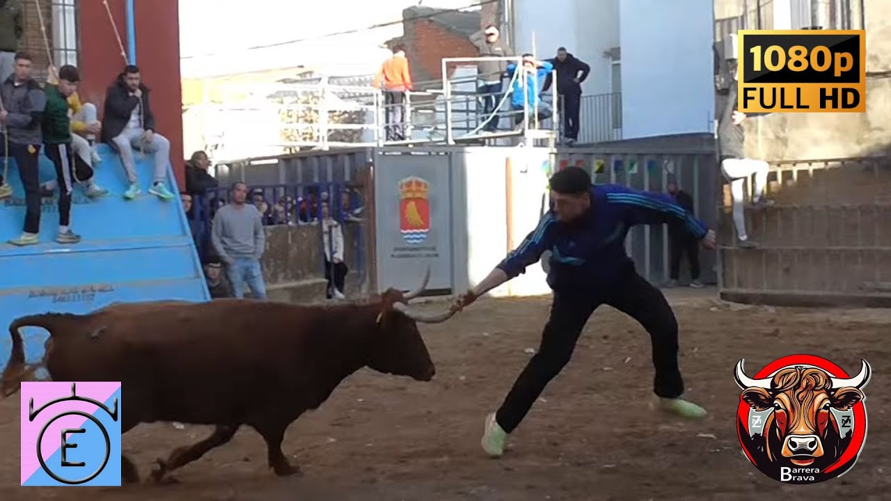 Plasencia de Jalón. Tarde de vacas | 09/02/2025 | Ganad. Oliva Escudero