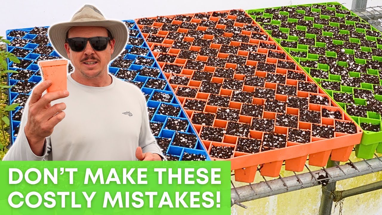 AVOID These Common Seed Starting Mistakes!