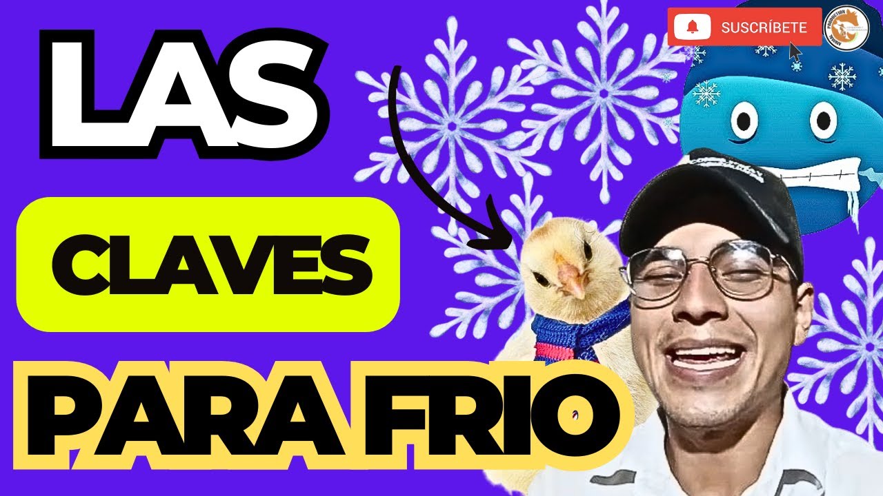 😱 CONSEJOS para Pollos de Engorde en CLIMA FRIO 🙌🏽