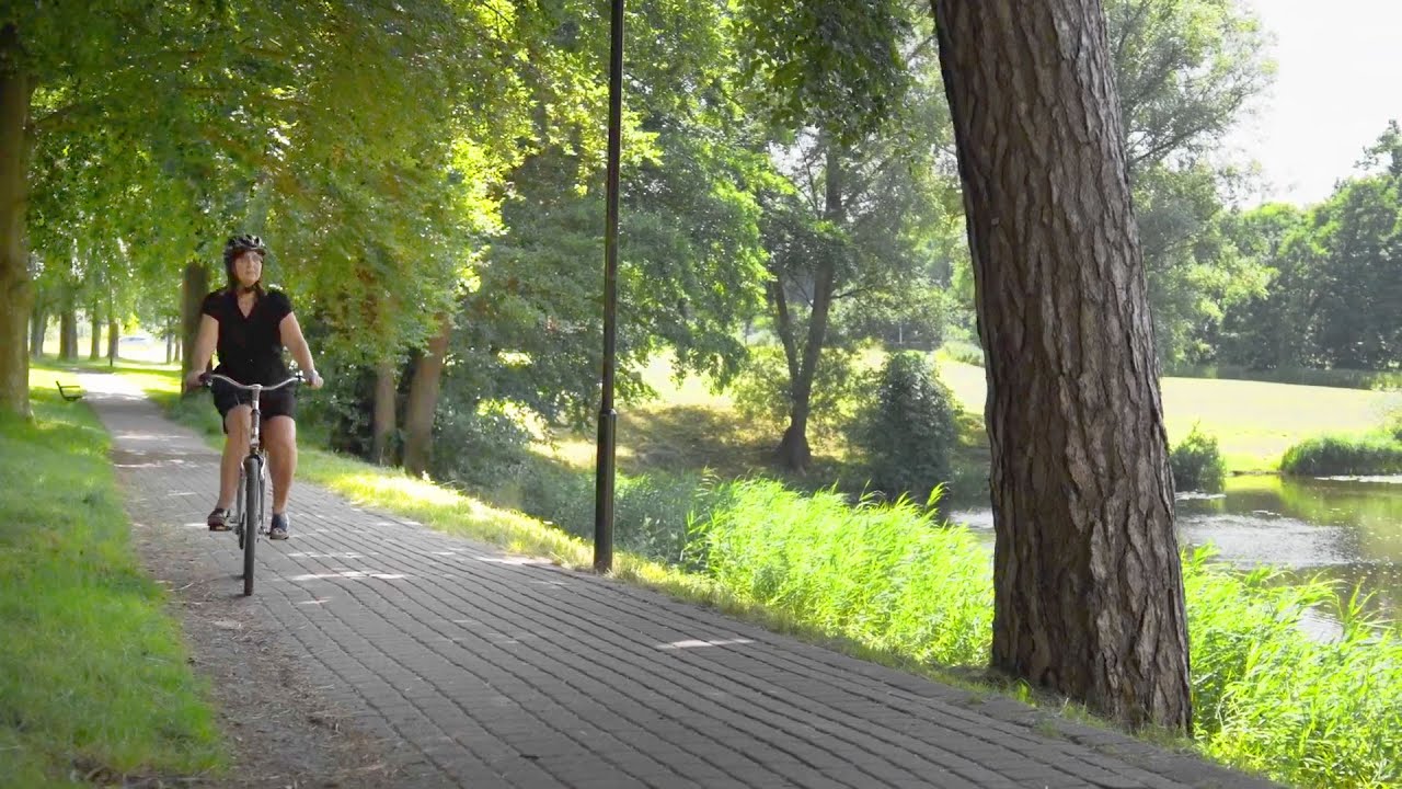 ASD – Ahrensburg | Jugendämter zwischen den Meeren
