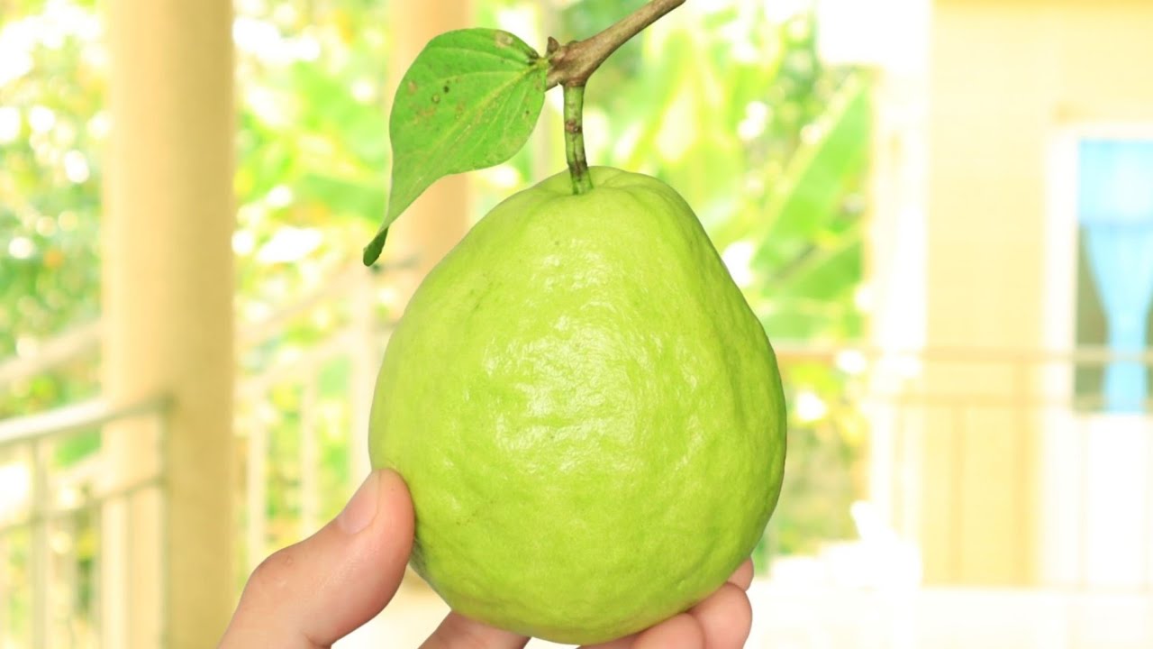 Nước Ép Trái Cây Nào Đắt Tiền Nhất
