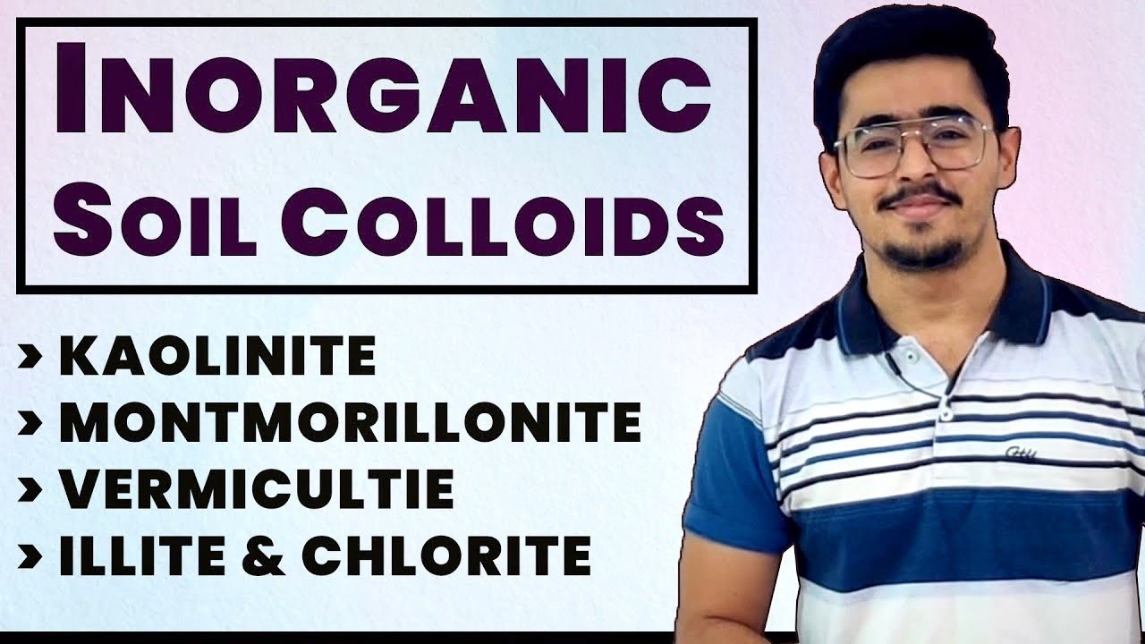 TYPES OF SOIL COLLOIDS - INORGANIC COLLOIDS - KAOLINITE MONTMORILONITE VERMICULITE ILLITE & CHLORITE