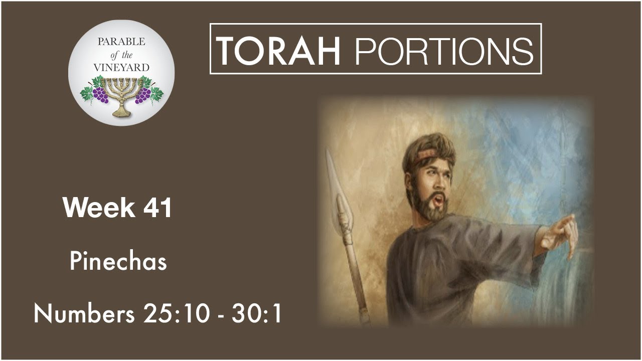 Torah Portions - Week 41 - Pinechas - פִּינְחָס 