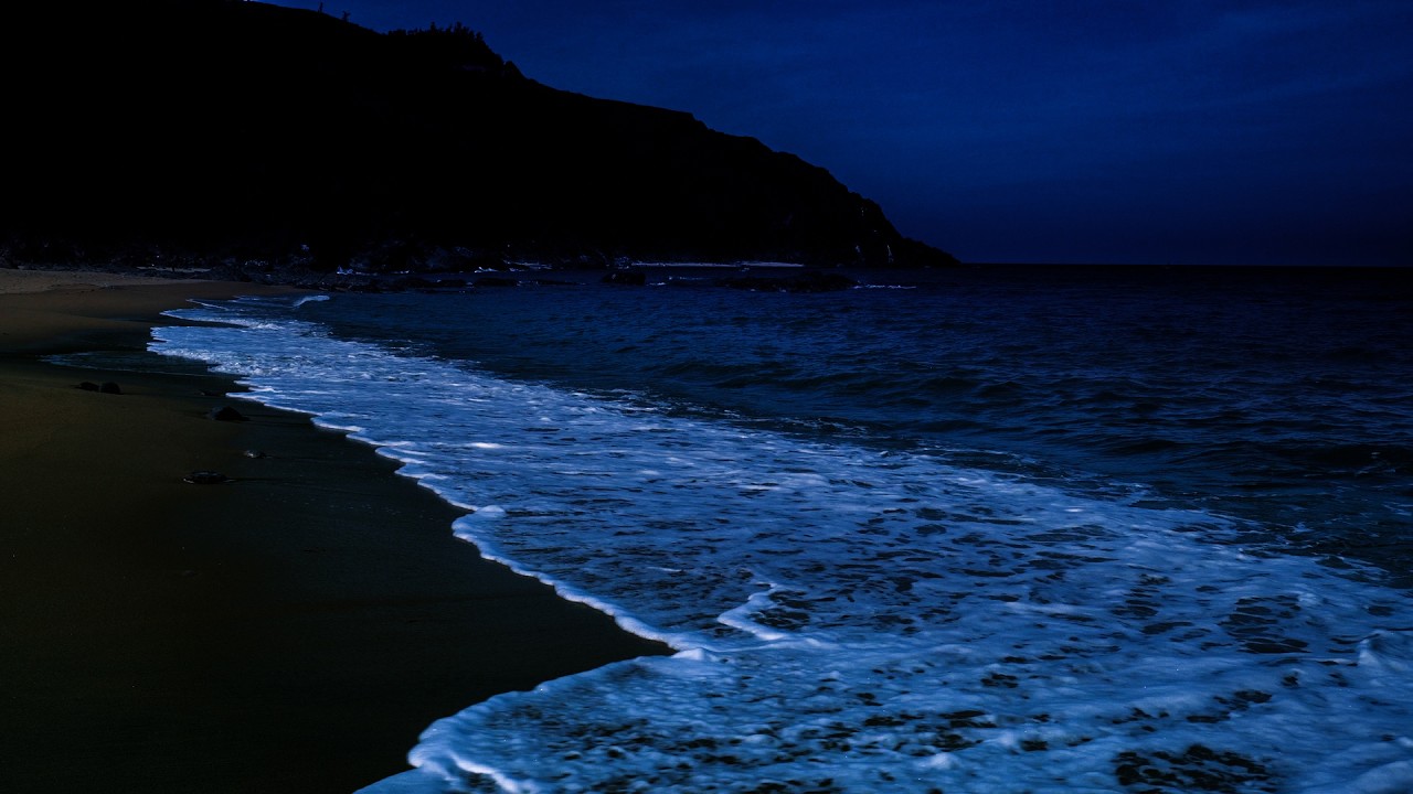 Fall Asleep With Waves All Night Long | Ocean Waves to Calm the Mind, Relieve Nervous Disorders