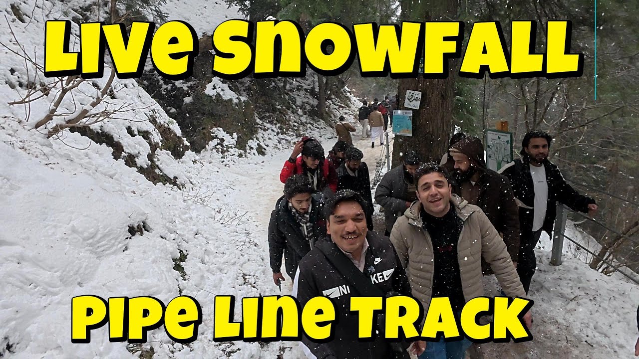 Beautiful Pipeline Track Donga Gali | Nature Walk