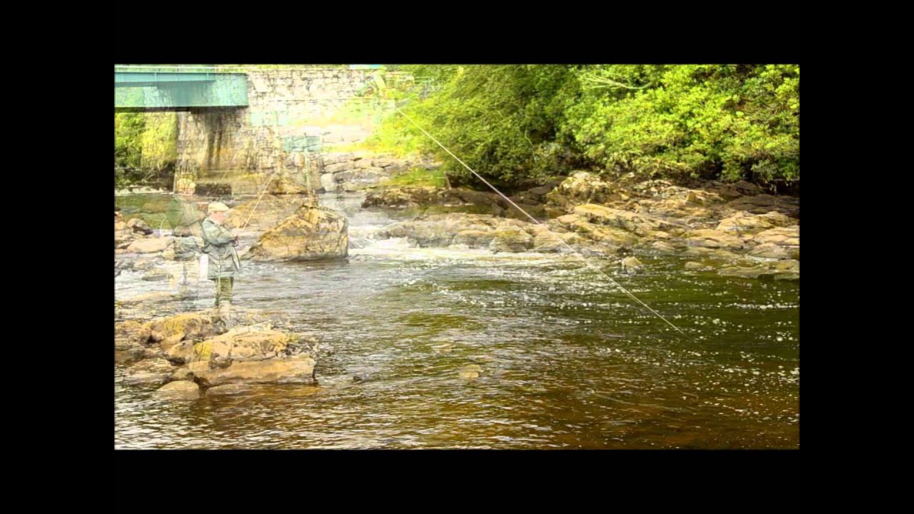 Erriff HD