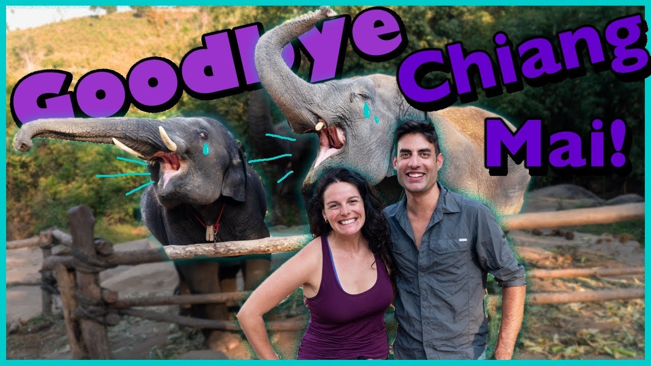 CHIANG MAI - Thailand - Elephants and more! (9/9)