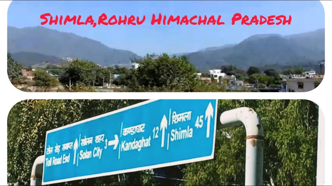 Amazing Trip SHIMLA, Rohru, Hatkoti | Himachal Pardesh | Travel with 79